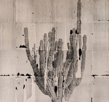 , Magdalena Wysocka & Claudio Pogo, Cactus, 2024, 77046