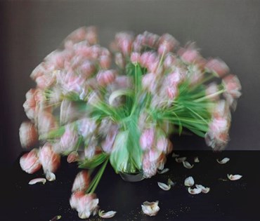 , Michael Wesely, Untitled, , 79740