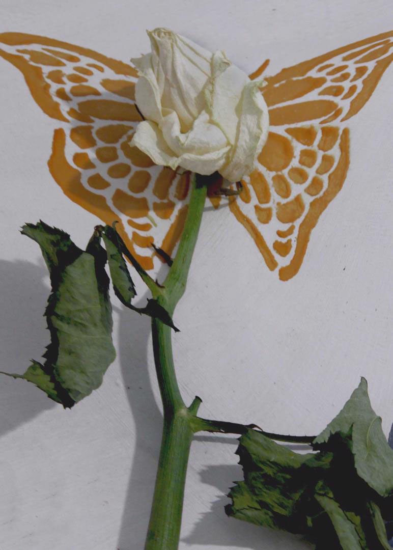 Naghmeh Ghasemloo, Untitled, 0