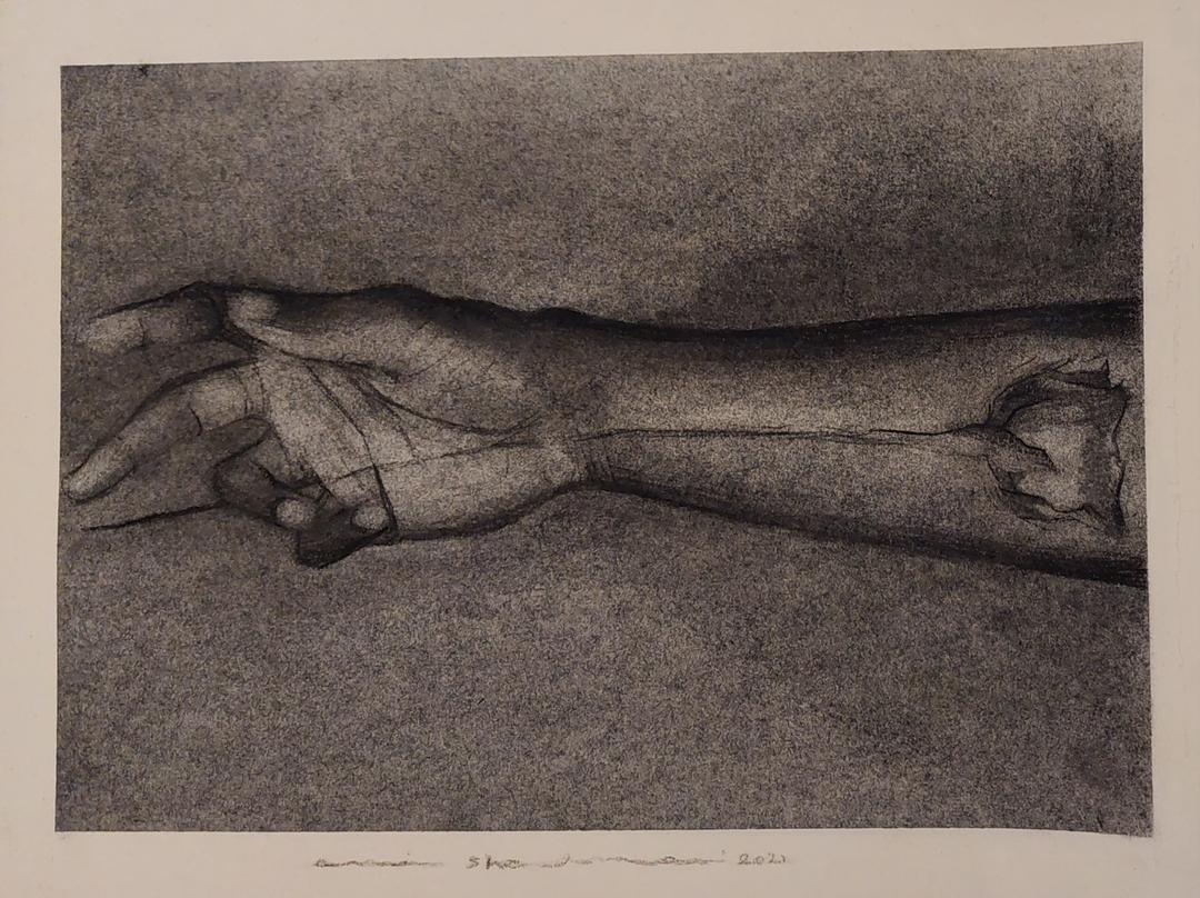 Amir Shalmani, Untitled, 0