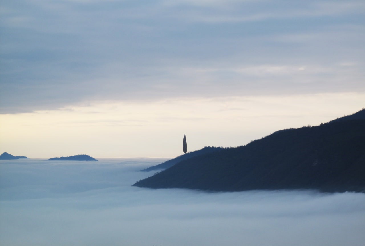 مهدی مقیم نژاد
