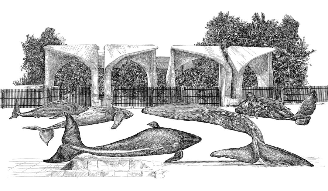 Jinoos Taghizadeh, Tehran University, 2021