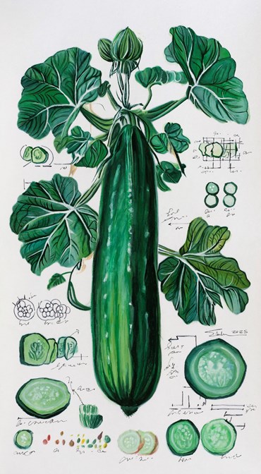 Painting, Elaheh Ramezani, Studying Specimen, Sorted, Serialized: Cucumber, 2025, 83727