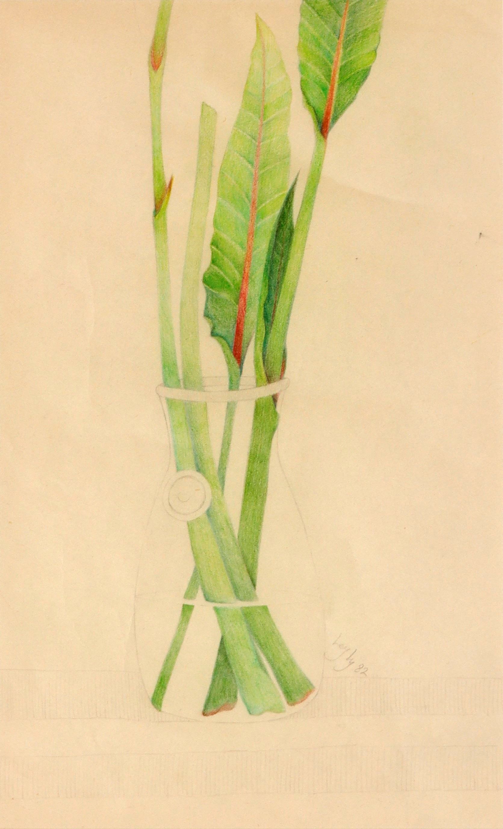 Leyly Matine Daftary