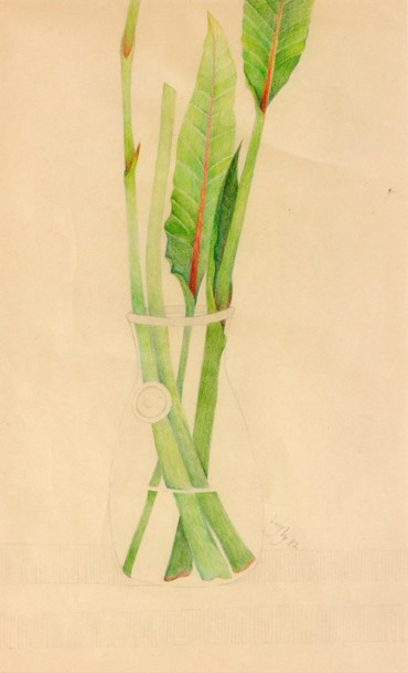 Leyly Matine Daftary