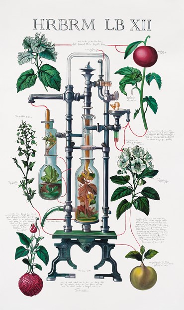 Painting, Elaheh Ramezani, A Living Herbarium, A Flowing Lab, 2025, 83723