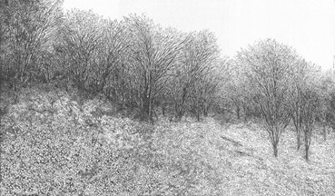 Painting, Mahsa Arabzadeh, Untitled, 2023, 74133