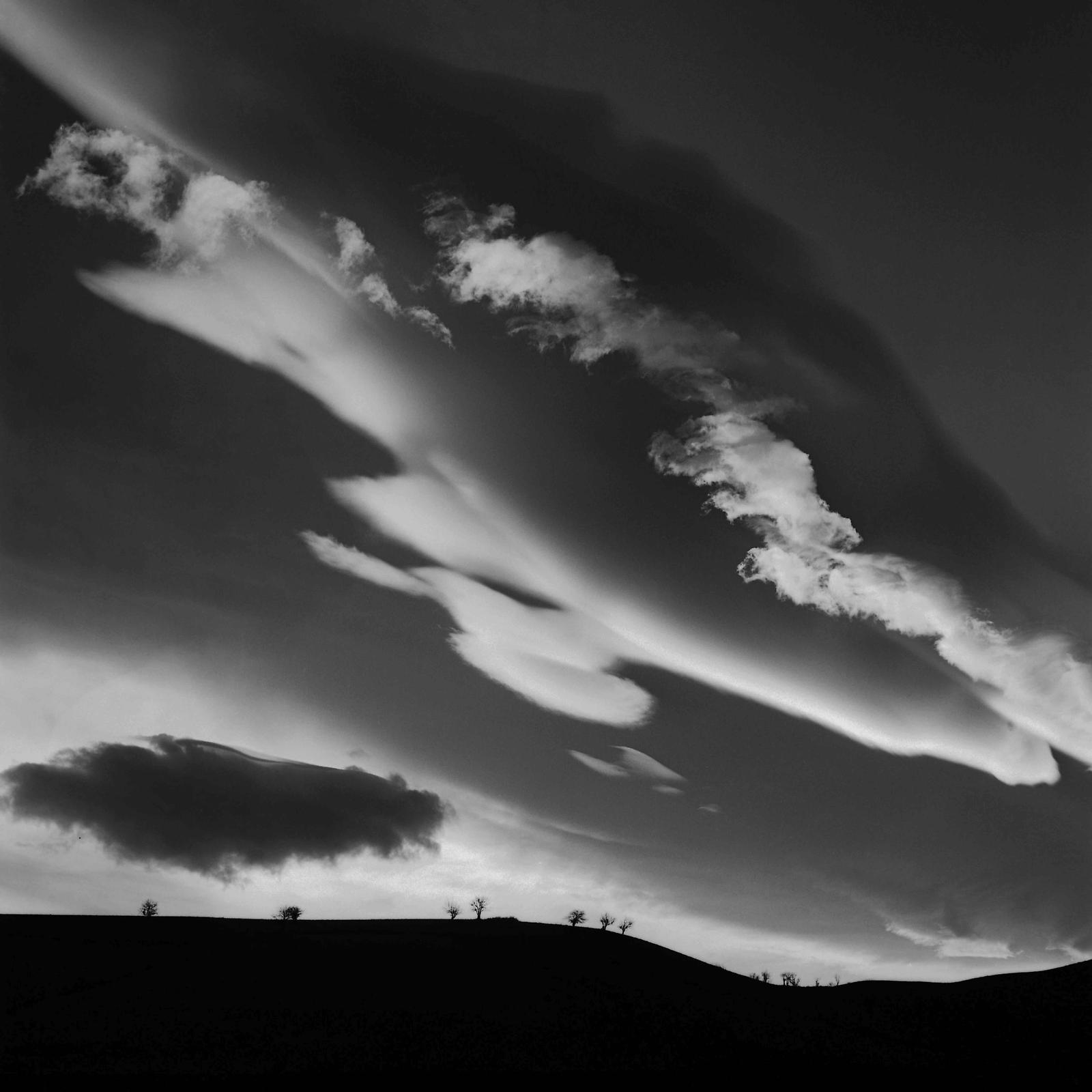 Nikol Faridani, Untitled, 2011