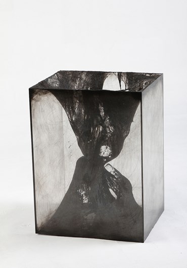 , Maryam Behrouzinia, Memory, 2024, 80705