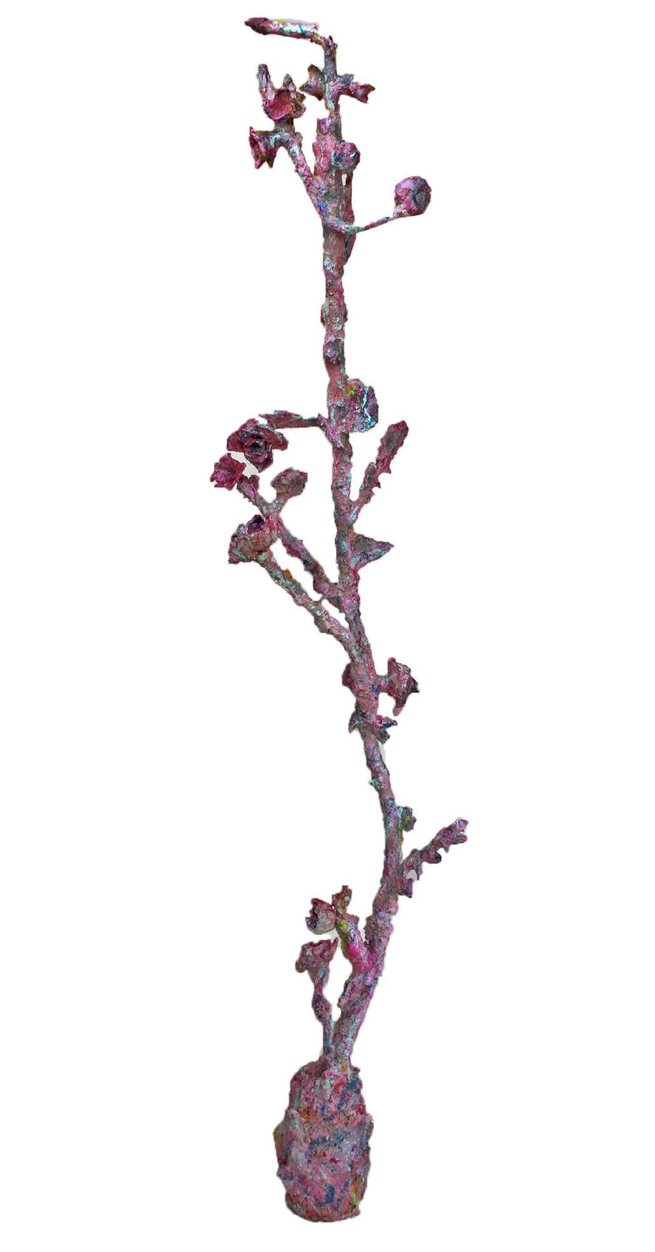 Anahita Bagheri, Prickly Thrift, 2022