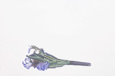 Pegah Bahador, Untitled, 2024, 15249