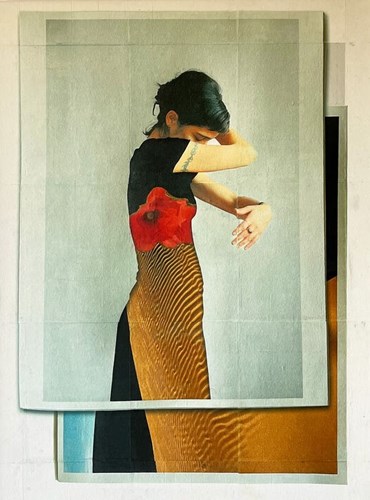 Mixed media, Sepideh Salehi, Woman, Poppy, Desert and the Lost Presence, 2024, 77399