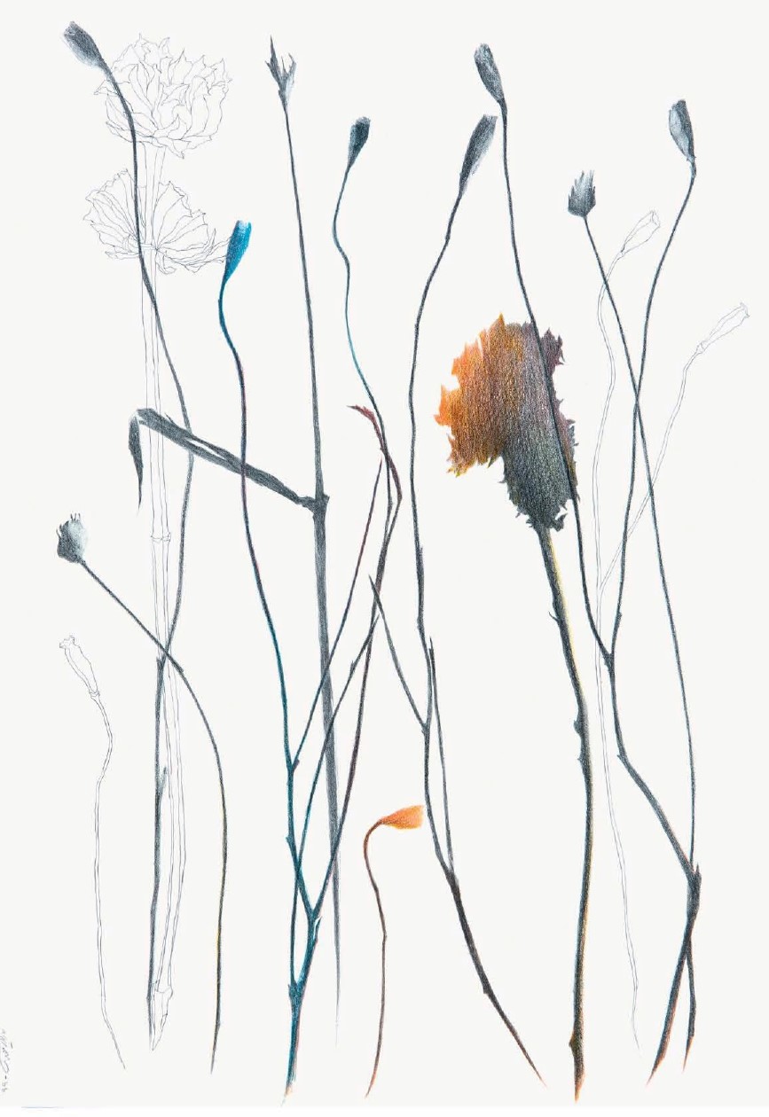 Nazila Moghadam, Untitled, 2020