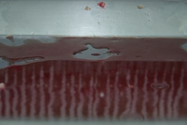 Azadeh Mirzaee, Untitled, 2008, 0