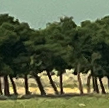 Photography, Kimia Askarian, 15 February 2023, 2023, 76093