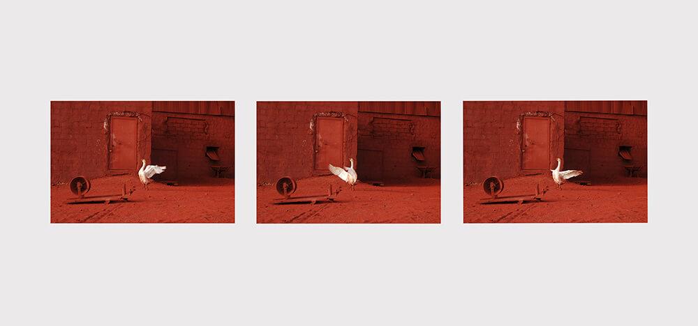 Alireza Memariani, Red Dream , 2014