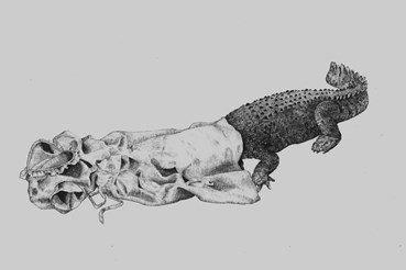 Drawing, Parisa Abbasi, Untitled, 2018, 74112