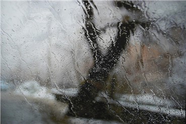 Photography, Abbas Kiarostami, Wind and Rain 56, , 8872