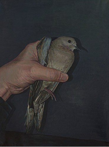 Painting, Hassan Ayazi, Untitled, 2025, 81721