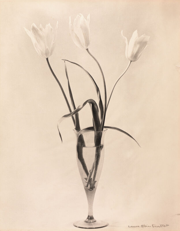 Laure Albin Guillot, Étude De Fleurs (With Vase), 1930