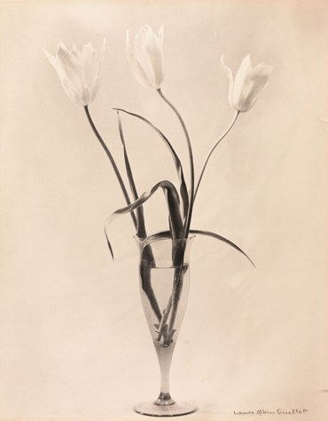 , Laure Albin Guillot, Étude De Fleurs (With Vase), 1930, 58702