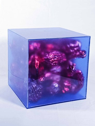 Sculpture, Sara Rahanjam, Untitled, 2024, 75664