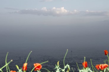 Rasa Hezarkhani, Untitled, 2018, 0