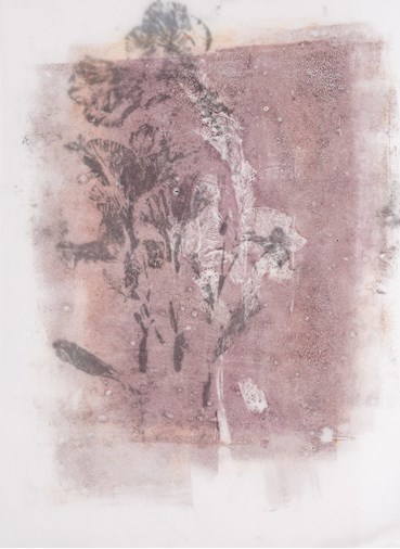 , Sima Zad, Untitled, , 84253