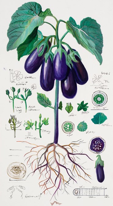 Painting, Elaheh Ramezani, Studying Specimen, Sorted, Serialized: Eggplant, 2024, 83714