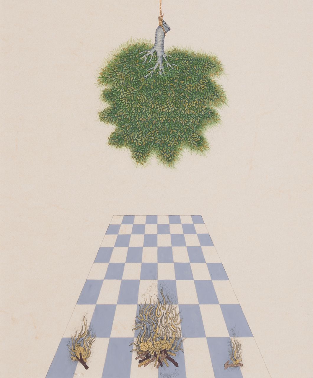 Behnaz Rezaei, Iran's Nature, 2021
