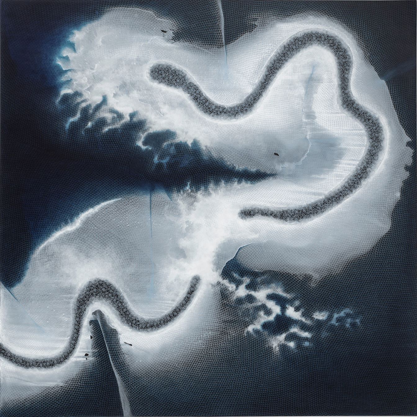 Shirazeh Houshiary, Entanglements, 2025