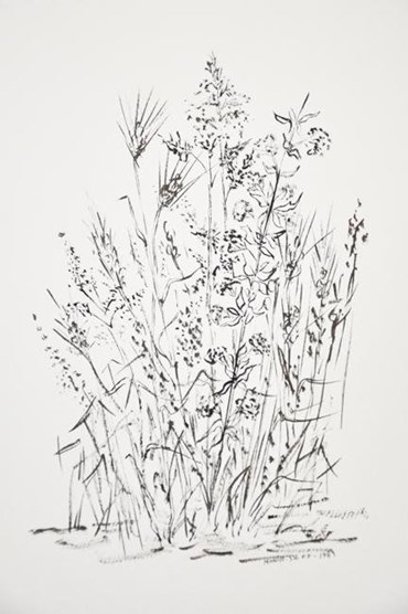 , Monir Shahroudy Farmanfarmaian, Wild Grass and Wheat, 1989, 52307