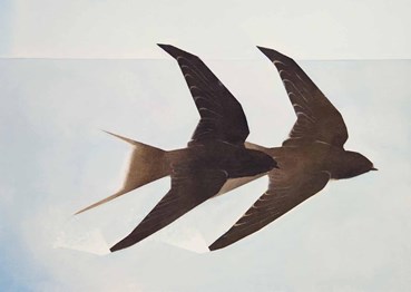 Painting, Shadi Salimi, Untitled, 2025, 78646