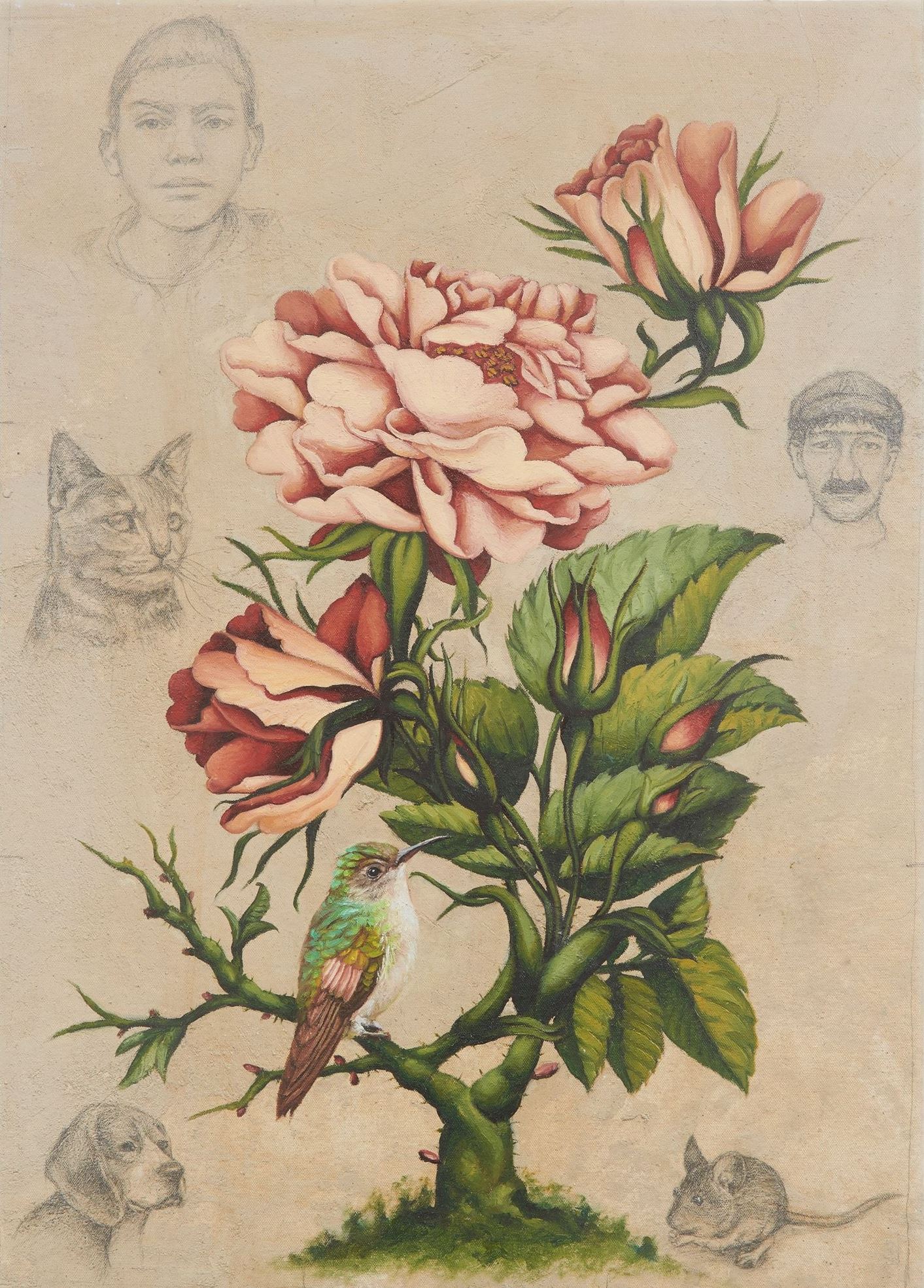 Hadi Falapishi, Untitled, 0