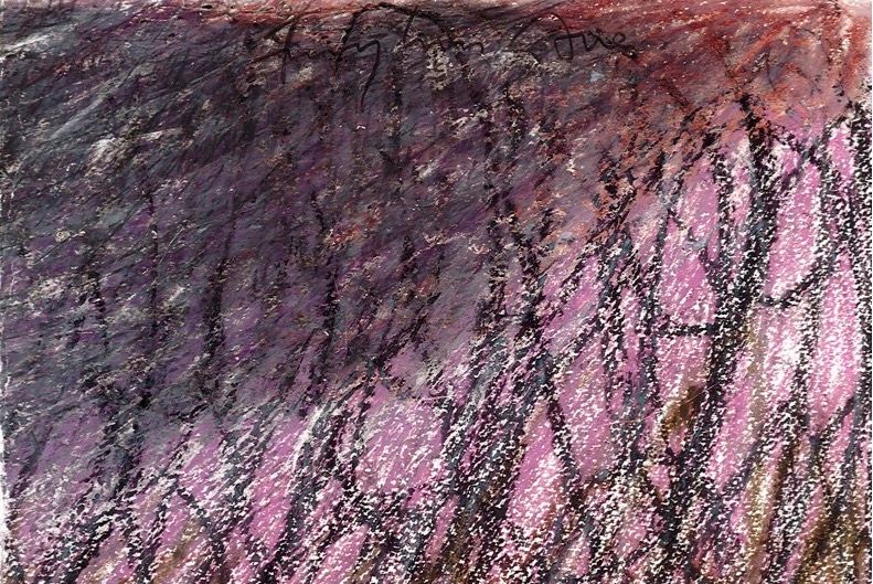 Fereydoun Ave, Untitled, 0