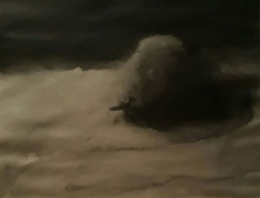 Painting, Hamidreza Andarz, Untitled , 2015, 76230