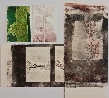 Heecha, Untitled, 0, 0