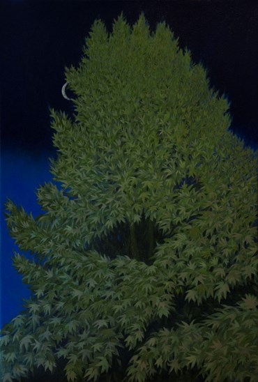 Painting, Anahita Darabbeigi, The Plane Tree Outside, 2021, 60832