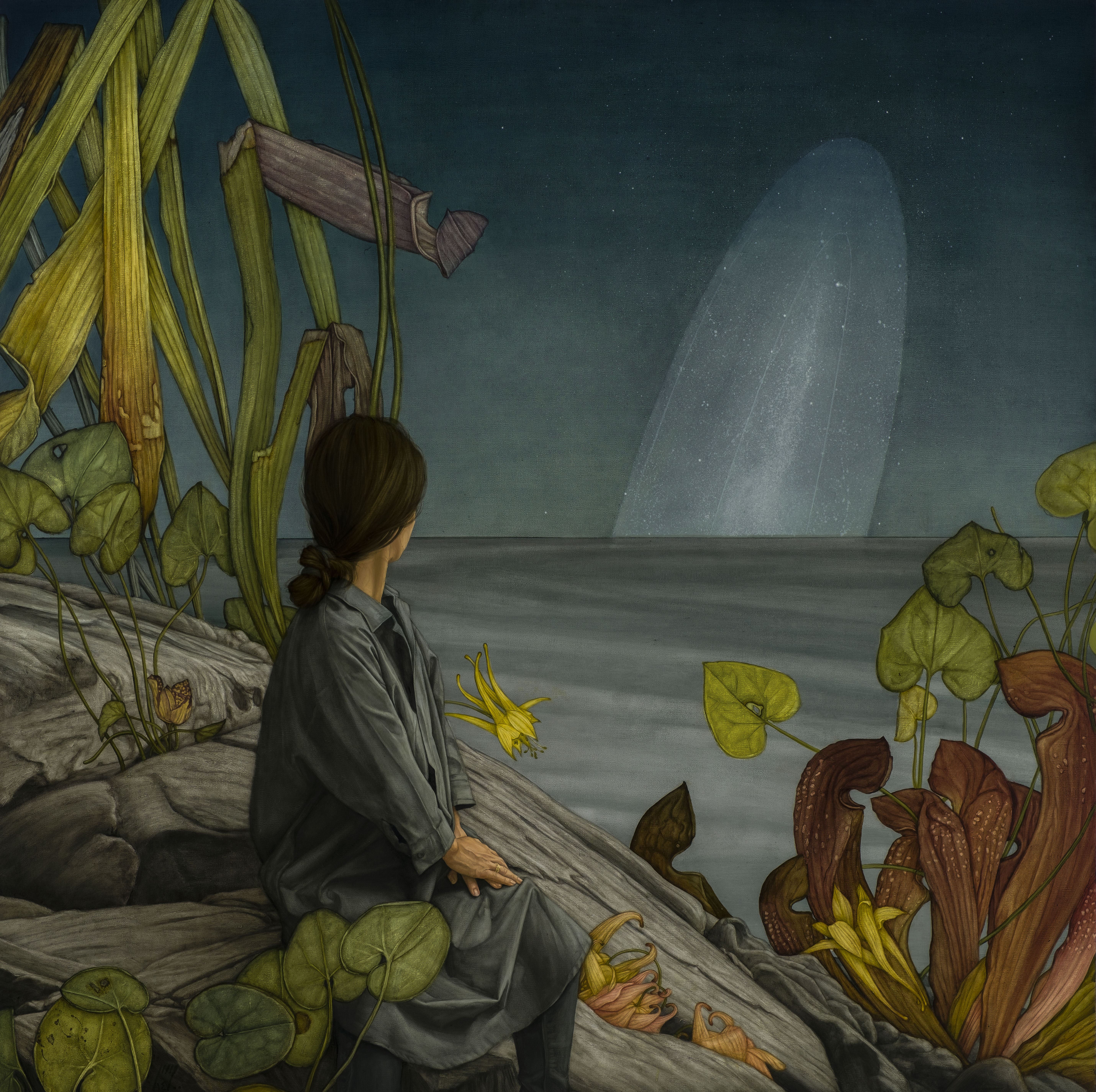 Morteza Pourhosseini, Seeing a Zodiacal Light, 2021