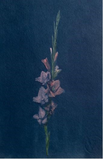 Mixed media, Babak Haghi, Untitled, 2026, 84086