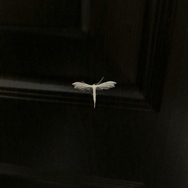 Photography, Mohsen Shahmardi, Untitled, 2022, 78720