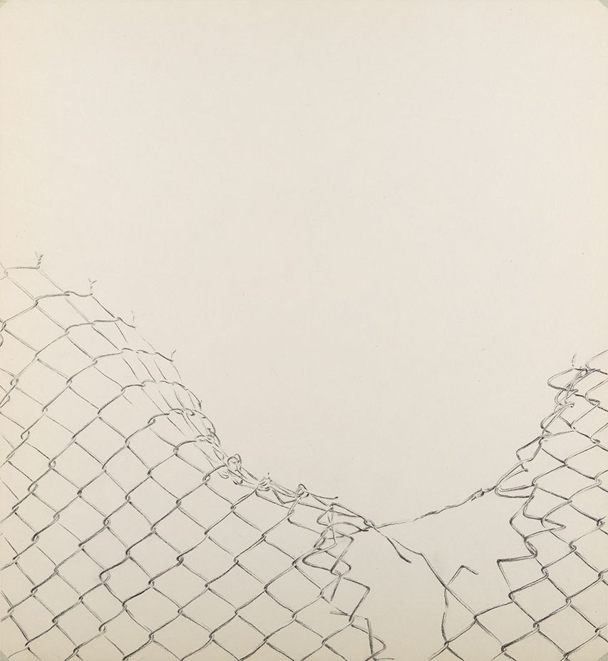 Peyman Shafieezadeh, Untitled, 0