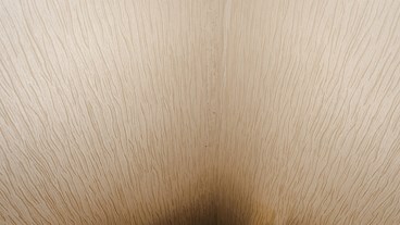 Saeede Doost‌‌bekheir, Untitled, 2021, 0