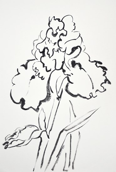 Drawing, Monir Shahroudy Farmanfarmaian, Iris 02, 1989, 52271