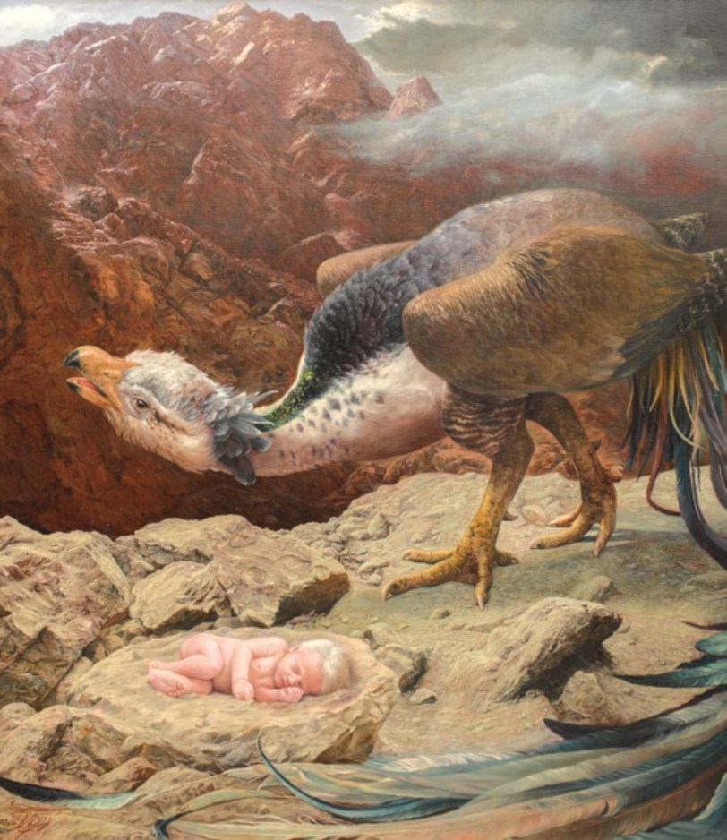 مهرداد جمشیدی