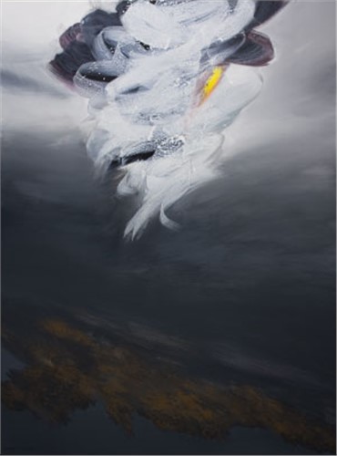 Painting, Morteza Darehbaghi, The Birth, 2009, 11151
