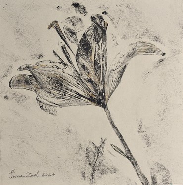 Sima Bagherzadeh, Untitled, 0, 0