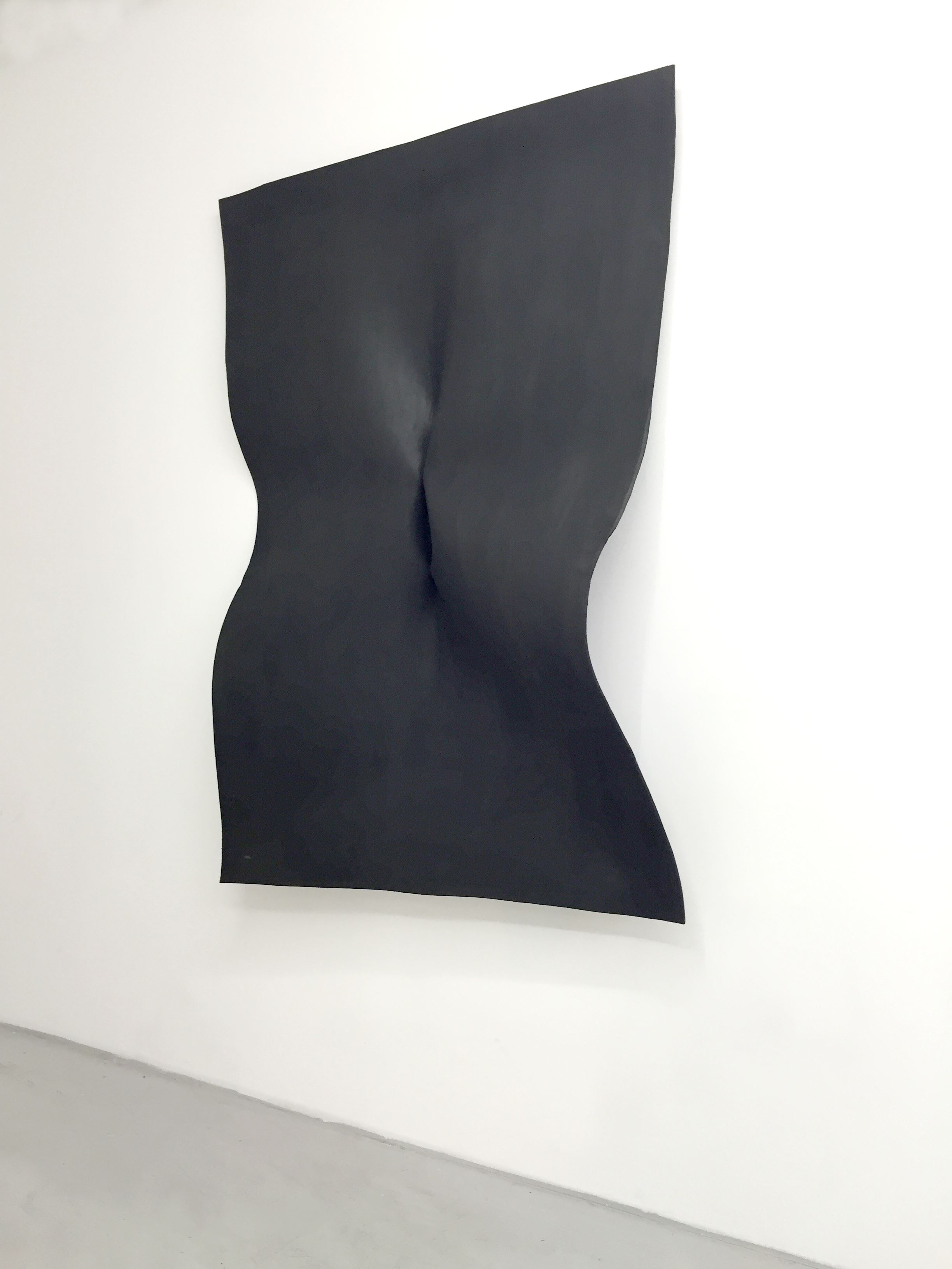 Mahsa Karimizadeh, Untitled, 2016