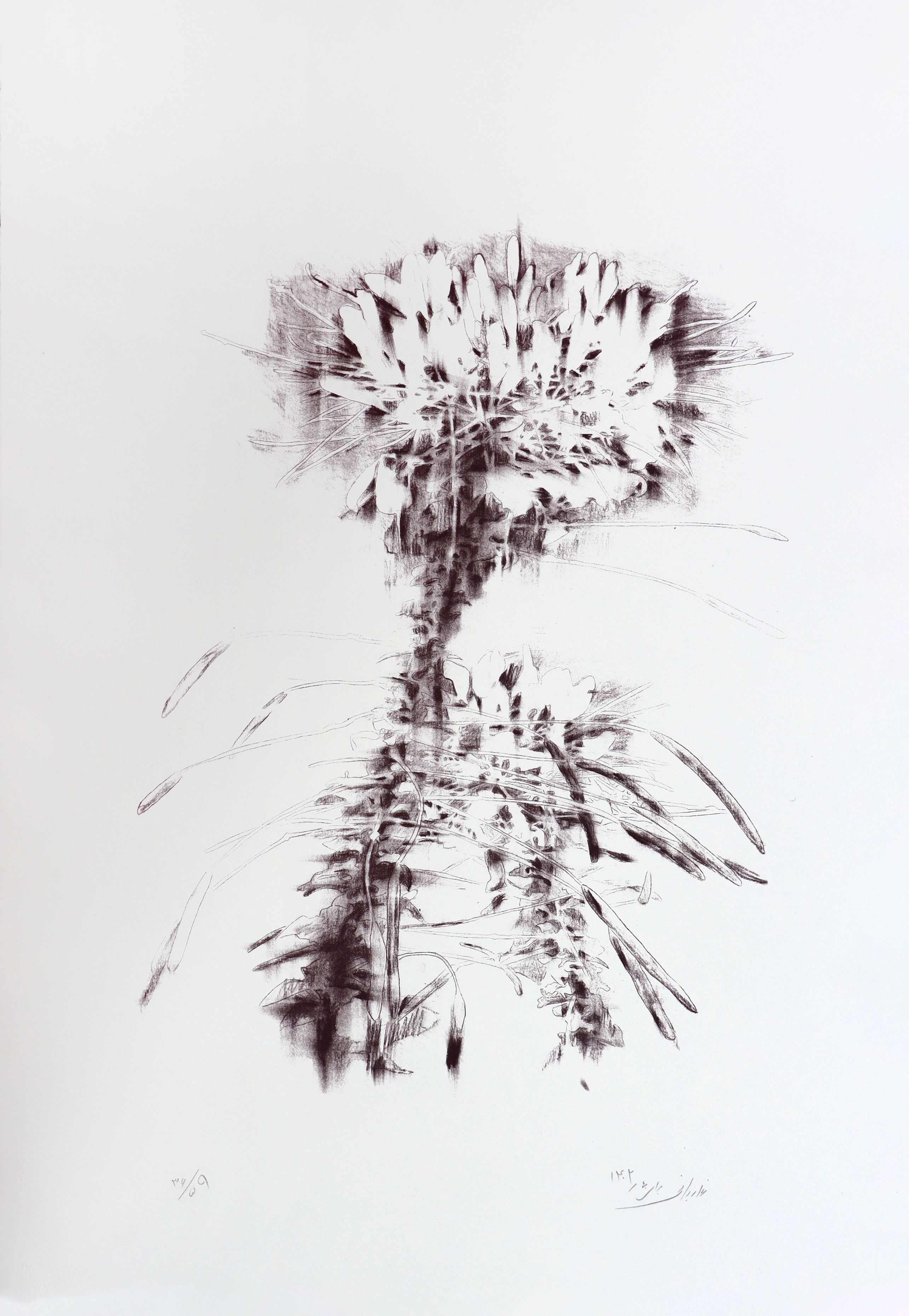 Mina Ghaziani, Untitled, 2023
