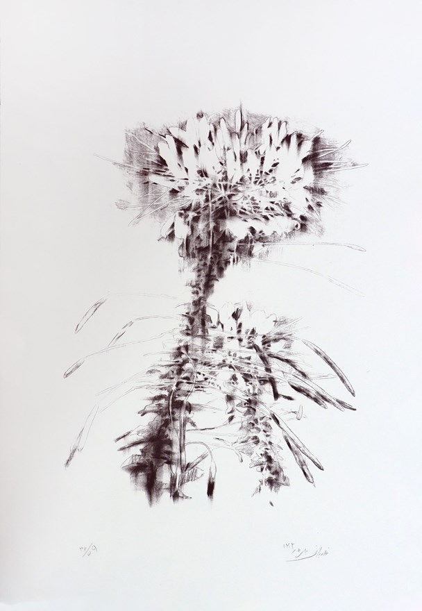 مینا غازیانی